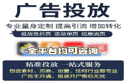 SEM投放策略：成功案例解析